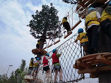 ropes course, climbing wall, treetop, obstacle course, campus