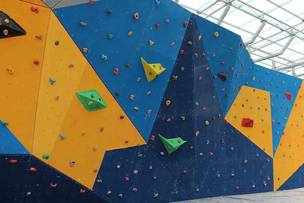 Bouldering Wall