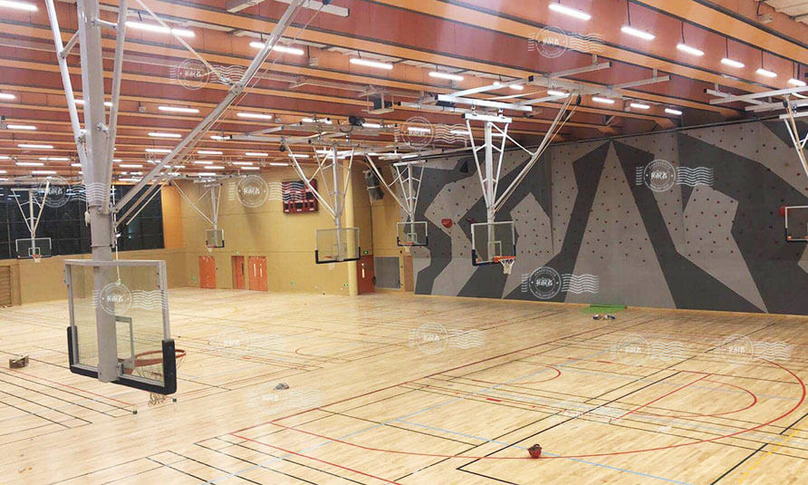 Indoor Top Roped Rock Climbing Wall